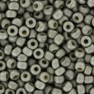 Miyuki seed beads 8/0 - Matted duracoat galvanized light pewter 8-4221F